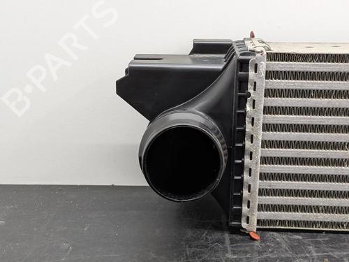 Intercooler RENAULT TRAFIC III Van (FG_) 1.6 dCi 115 (FGMD) | BP36305166M30 - Image 10