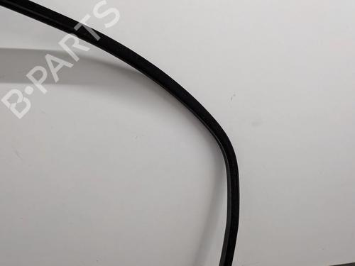 Rubber door seal RENAULT TRAFIC III Van (FG_) 1.6 dCi 115 (FGMD) | BP36378652C142  - Image 12