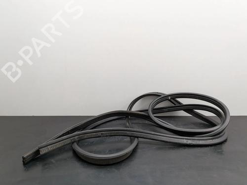 Gummiliste RENAULT TRAFIC III Van (FG_) 1.6 dCi 115 (FGMD) | BP36378877C142 - Image 3