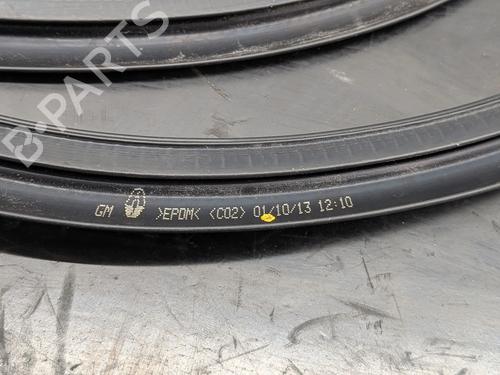 Gummiliste RENAULT TRAFIC III Van (FG_) 1.6 dCi 115 (FGMD) | BP36408188C142 - Image 5