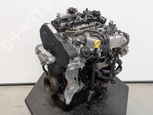 Used Engine Engine 36905571 36905571