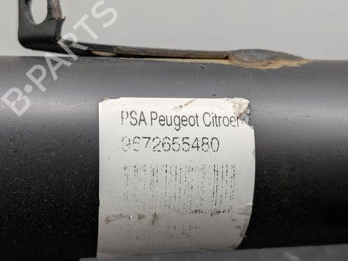 Left front shock absorber CITROËN C3 II (SC_) 1.4 HDi 70 (SC8HZC, SC8HR0, SC8HP4) | BP37283382M16 - Image 10