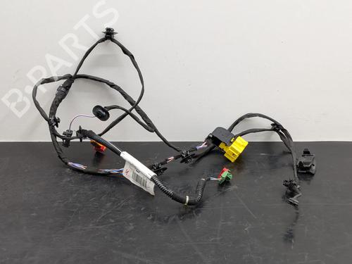 Used Wiring harness Wiring harness RENAULT SCÉNIC III (JZ0/1_) 1.6 dCi (JZ00, JZ12) (130 hp) 39959311 39959311