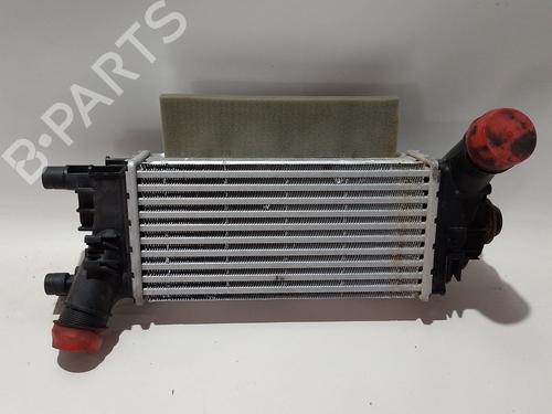 Intercooler Intercooler FORD PUMA (J2K, CF7) 1.0 EcoBoost mHEV (125 hp) 36526588 36526588