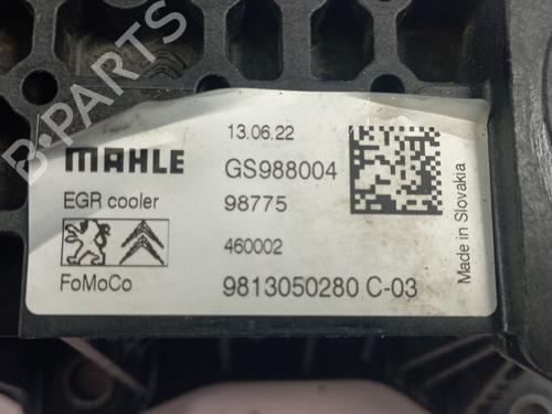 Egr PEUGEOT 2008 I (CU_) | BP31944845M69 - Image 2