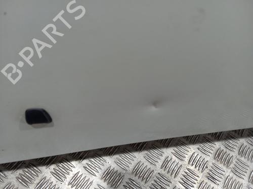Hood FIAT BRAVO II (198_) 1.9 D Multijet (198AXB1A) | BP28316925C1 