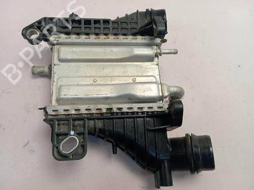 Intercooler RENAULT MEGANE IV Hatchback (B9A/M/N_) | BP29062659M30