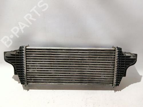 Intercooler MERCEDES-BENZ M-CLASS (W164) | BP31805027M30