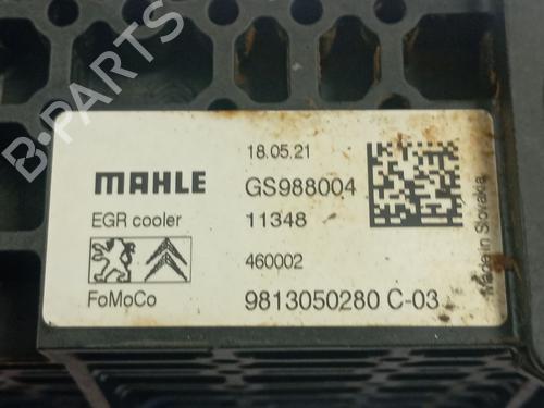 Egr PEUGEOT 2008 I (CU_) 1.5 BlueHDI 100 | BP39536266M69 - Image 2