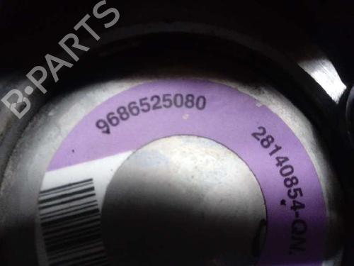 Steering pump PEUGEOT 206 Hatchback (2A/C) 1.4 LPG | BP12651366M99 