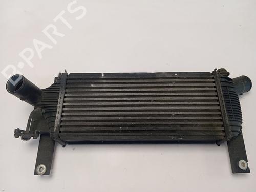 Intercooler NISSAN PATHFINDER III (R51) 2.5 dCi | BP30375431M30