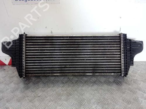 Intercooler MERCEDES-BENZ M-CLASS (W164)  | BP12656941M30 