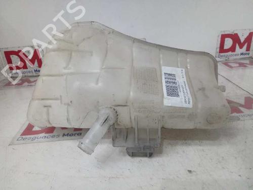 Expansion tank RENAULT KANGOO / GRAND KANGOO II (KW0/1_)  | BP16720400C120 