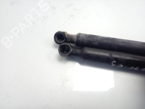 Hood lift support RENAULT KANGOO / GRAND KANGOO II (KW0/1_)  | BP17829959C139 