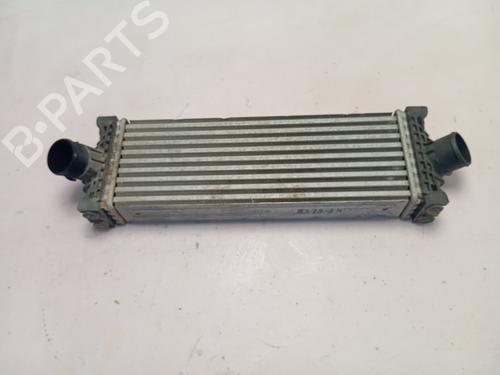 Intercooler FORD TRANSIT V363 Van (FCD, FDD) | BP28517573M30