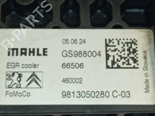 Egr OPEL COMBO Box Body/MPV (K9) | BP38557141M69 - Image 2