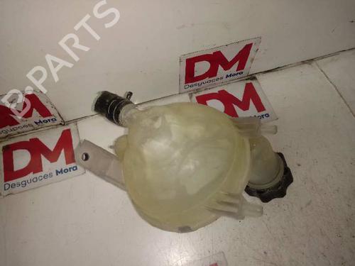 Expansion tank PEUGEOT 307 (3A/C) 2.0 HDi 110 | BP12852942C120 