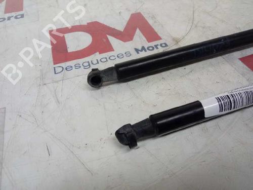 Tailgate lift support BMW 1 (F20)  | BP16677516C138
