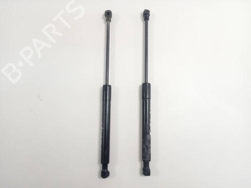 Used Hood lift support RENAULT KANGOO / GRAND KANGOO II (KW0/1_) [2008-2025]  18528255