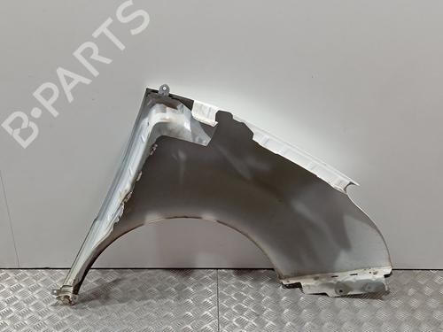 Left front fenders OPEL COMBO Box Body/MPV (X12) 1.3 CDTI (B05) | BP22522672C41 