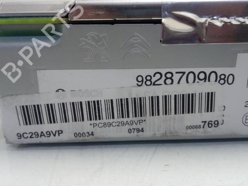 Radio PEUGEOT 2008 II (UD_, US_, UY_, UJ_, UR_, UC_)  | BP13295455E6 