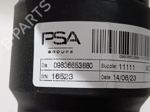 Left rear shock absorber PEUGEOT 2008 II (UD_, US_, UY_, UJ_, UR_, UC_)  | BP29359031M18 