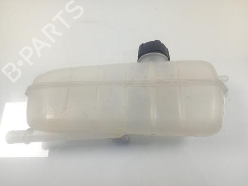 Expansion tank RENAULT ZOE (BFM_) ZOE | BP17960294C120