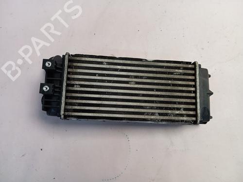 Intercooler PEUGEOT PARTNER Tepee  | BP19102310M30 