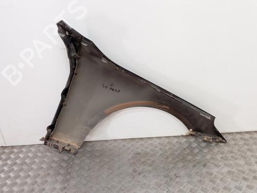 Left front fenders BMW 5 (G60, G90, G68) 520 d Mild-Hybrid | BP27882086C41 