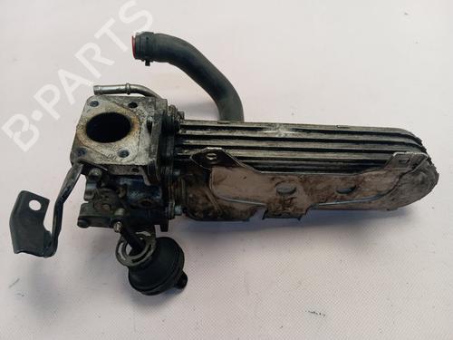 Egr VW GOLF V (1K1)  | BP29019826M69 