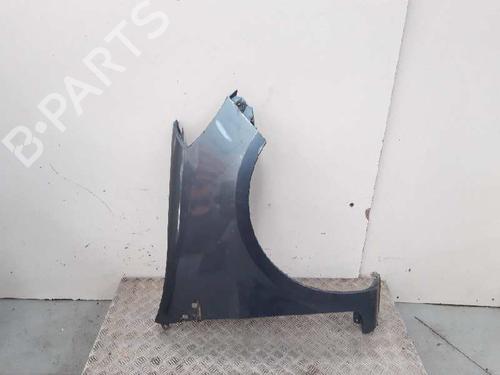 Right front fenders RENAULT CLIO III (BR0/1, CR0/1) 1.5 dCi (BR17, CR17) | BP12839460C42 