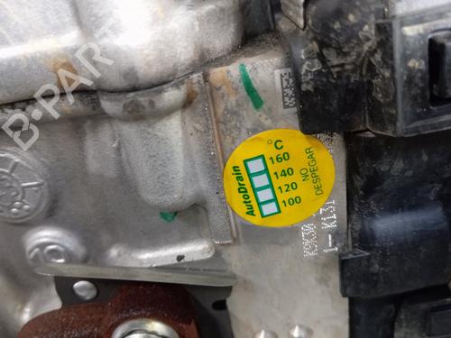 Engine RENAULT KANGOO III MPV  | BP28962819M1 
