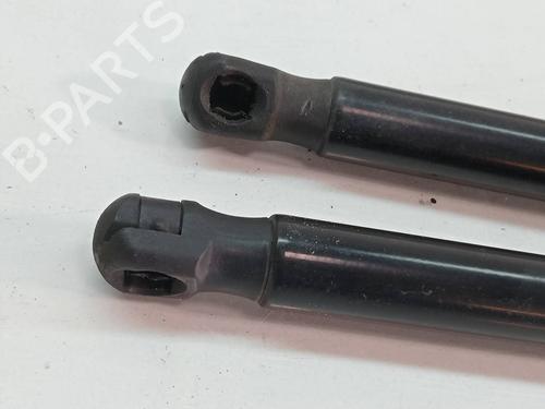 Tailgate lift support CITROËN C4 Picasso II  | BP14132090C138 