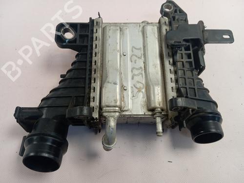 Intercooler RENAULT MEGANE IV Hatchback (B9A/M/N_) | BP29002599M30