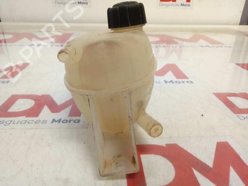 Expansion tank OPEL VIVARO A Bus (X83) 2.0 CDTI (F7, J7, A07) | BP29409861C120 