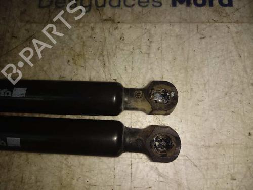 Tailgate lift support RENAULT CLIO IV (BH_) | BP14129360C138