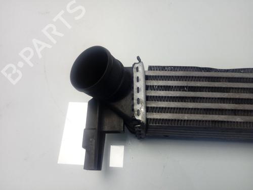 Intercooler SEAT IBIZA IV (6J5, 6P1)  | BP18747929M30 