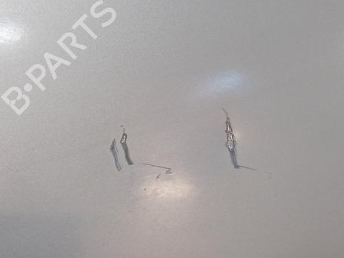 Left front door RENAULT MASTER II Van (FD)  | BP25855240C2 