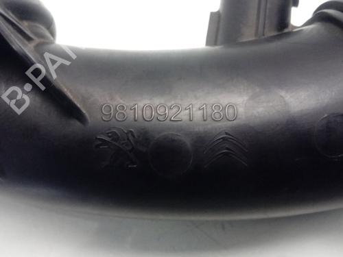 Other PEUGEOT 2008 II (UD_, US_, UY_, UJ_, UR_, UC_)  | BP16061439O1 