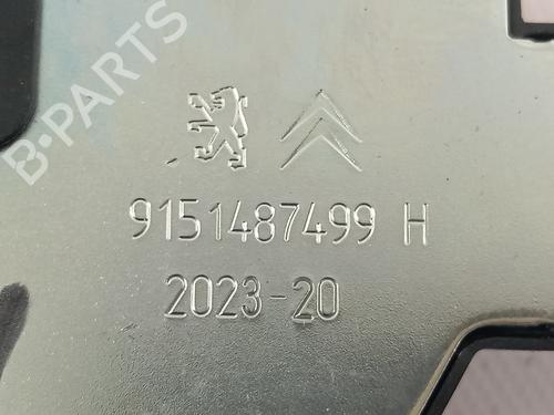 Tailgate lock PEUGEOT 2008 II (UD_, US_, UY_, UJ_, UR_, UC_)  | BP29359037C101 