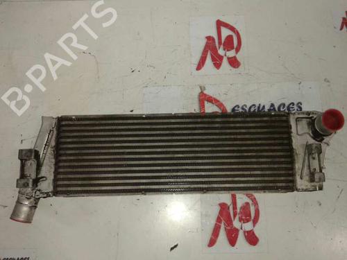 Intercooler RENAULT MEGANE II (BM0/1_, CM0/1_) 1.9 dCi | BP12646493M30 