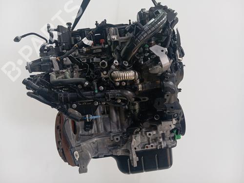Engine PEUGEOT RIFTER 1.5 BlueHDi 75 (ECYHW) | BP36665213M1 - Image 7