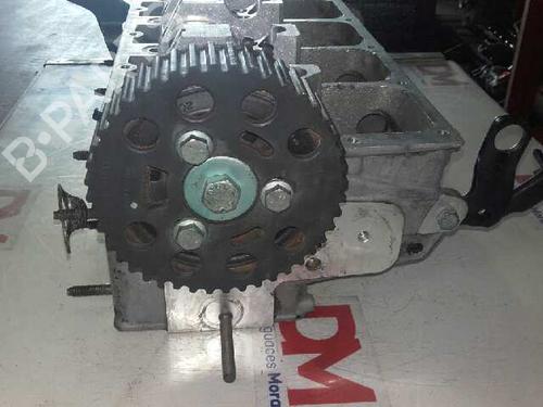 Cylinder head SEAT IBIZA III (6L1)  | BP12647366M5 