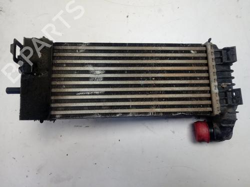 Intercooler FORD TRANSIT CONNECT V408 Box Body/MPV  | BP17905608M30 