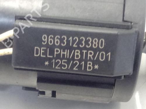 Electronic module CITROËN BERLINGO / BERLINGO FIRST Box Body/MPV (M_) | BP14134162M83