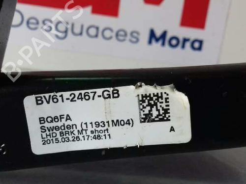 Break pedal FORD FOCUS III  | BP16955039I19 