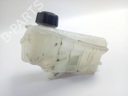 Used Expansion tank RENAULT KANGOO / GRAND KANGOO II (KW0/1_) [2008-2025]  18491607