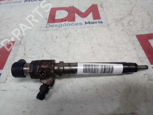 Insprojtnings dyse JAGUAR XJ (X350, X358) D 2.7 (207 hp) 12666698