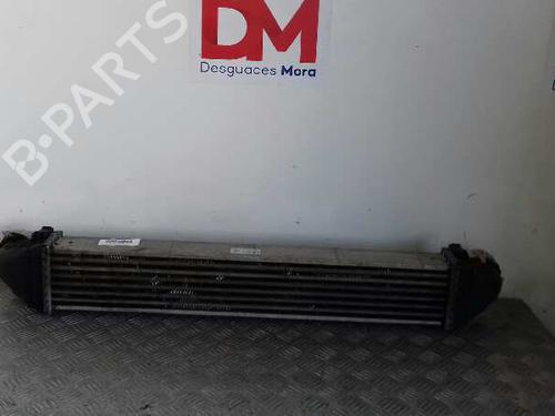Intercooler MERCEDES-BENZ A-CLASS (W169)  | BP12644585M30 