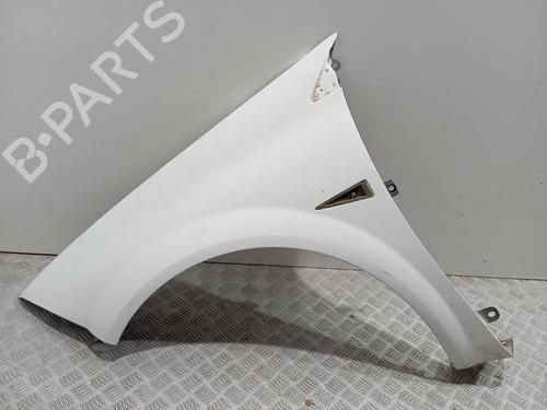 Used Left front fenders RENAULT MEGANE II (BM0/1_, CM0/1_) [2001-2012]  30374525